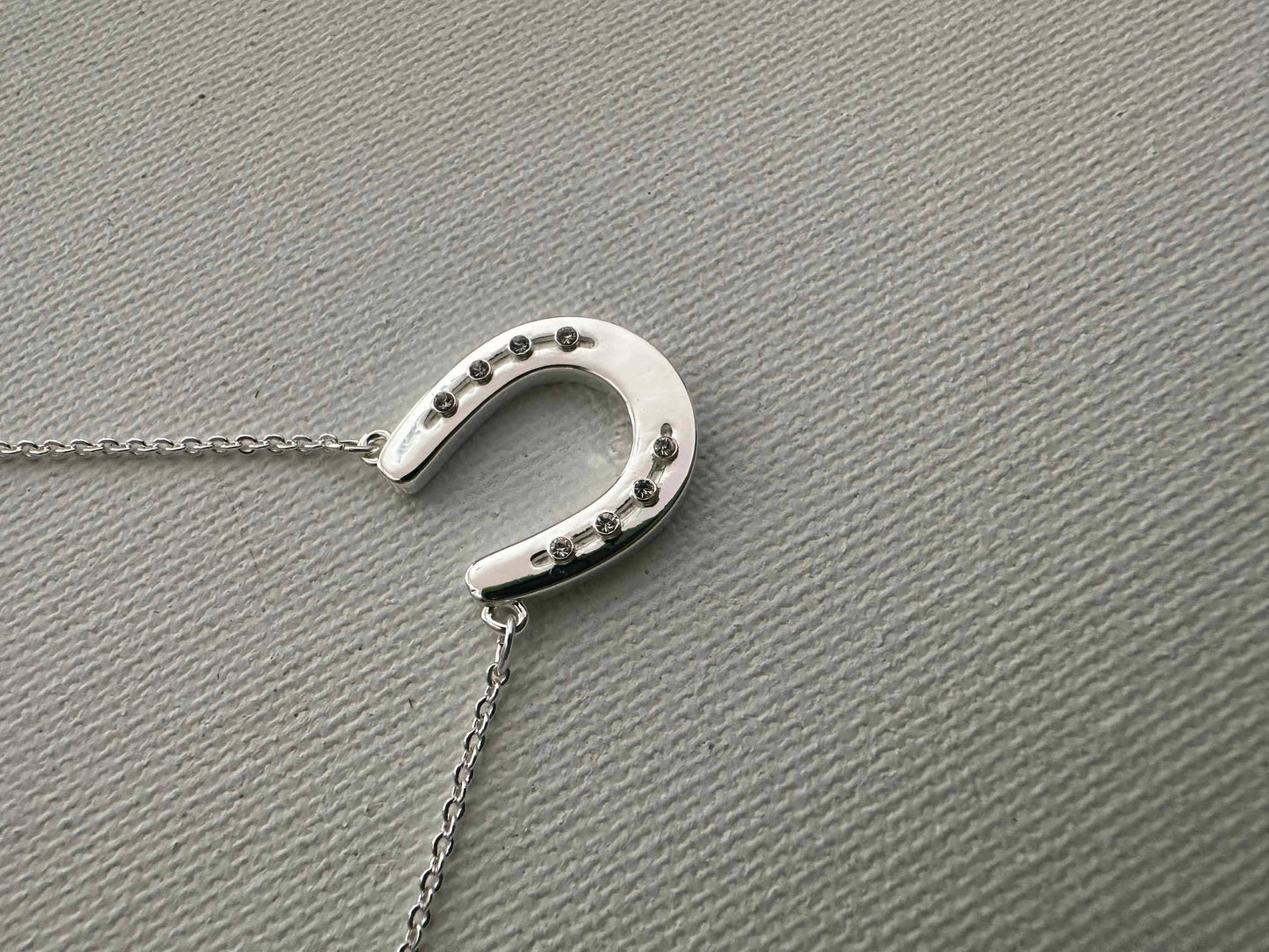 Petite Single Horseshoe/ Necklace