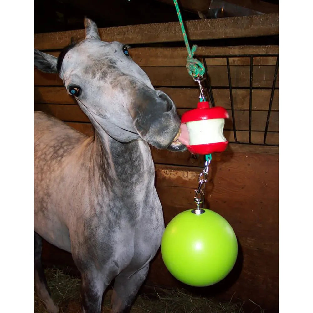 Jolly Stall Snack Combo