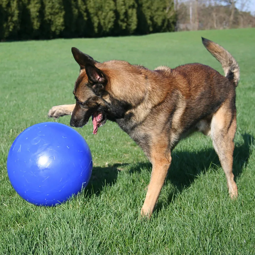 Jolly Push-N-Play Dog Ball