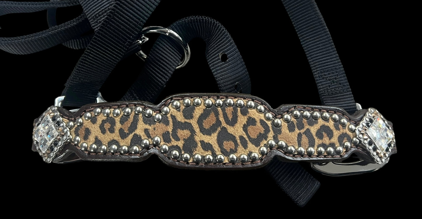 Leopard on dark leather