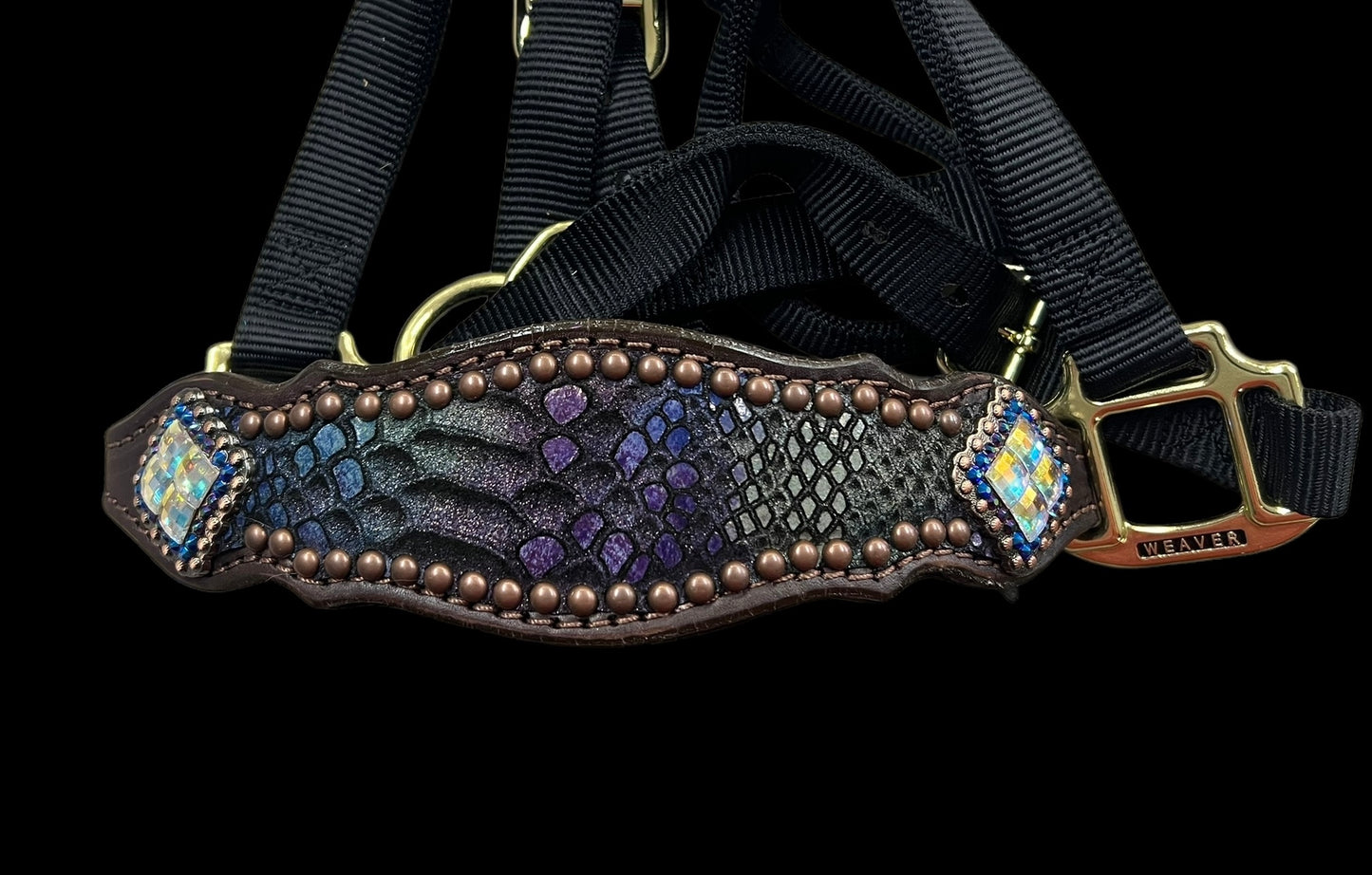 Dragon mystic on dark leather