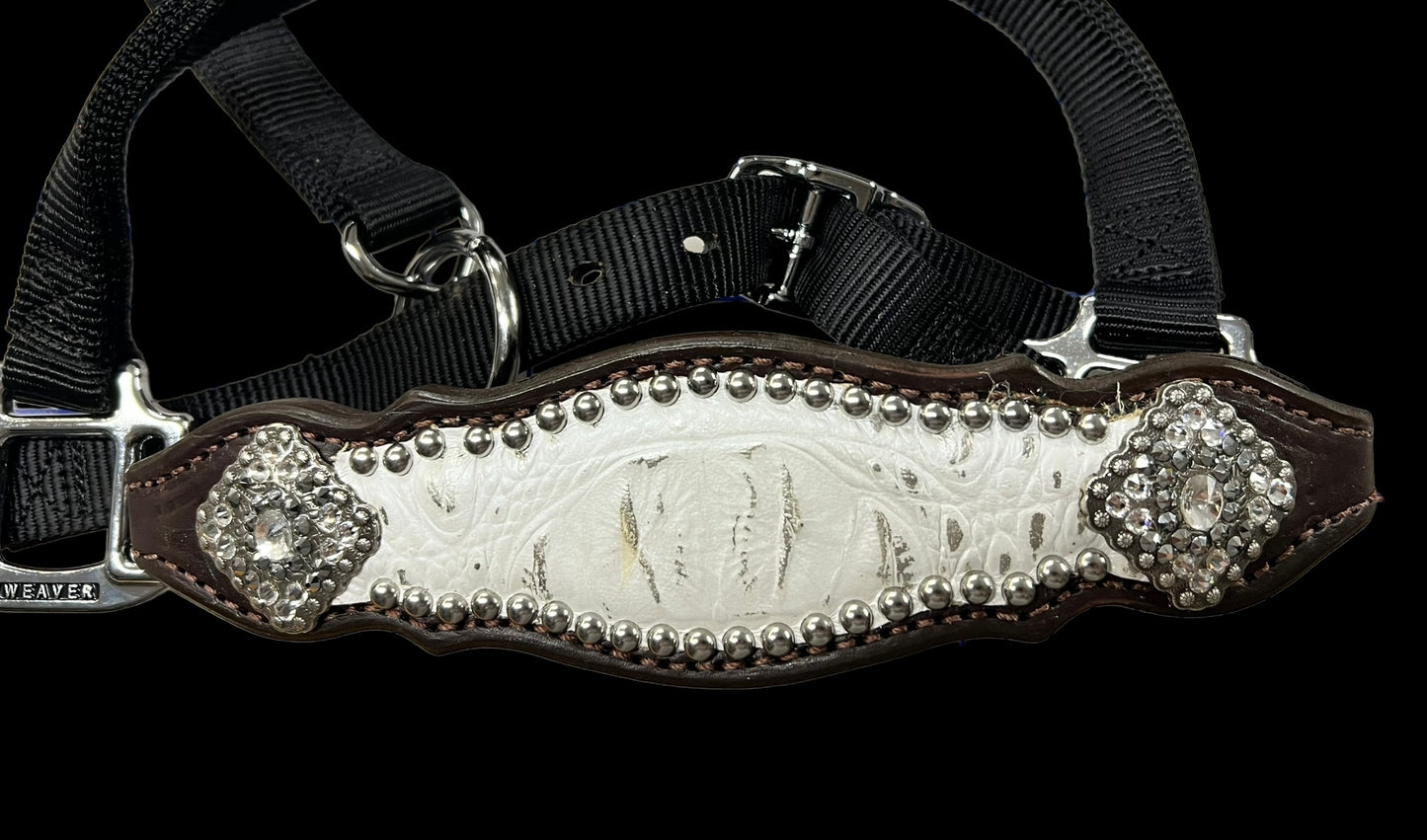 White with silver tips gator on dark leather