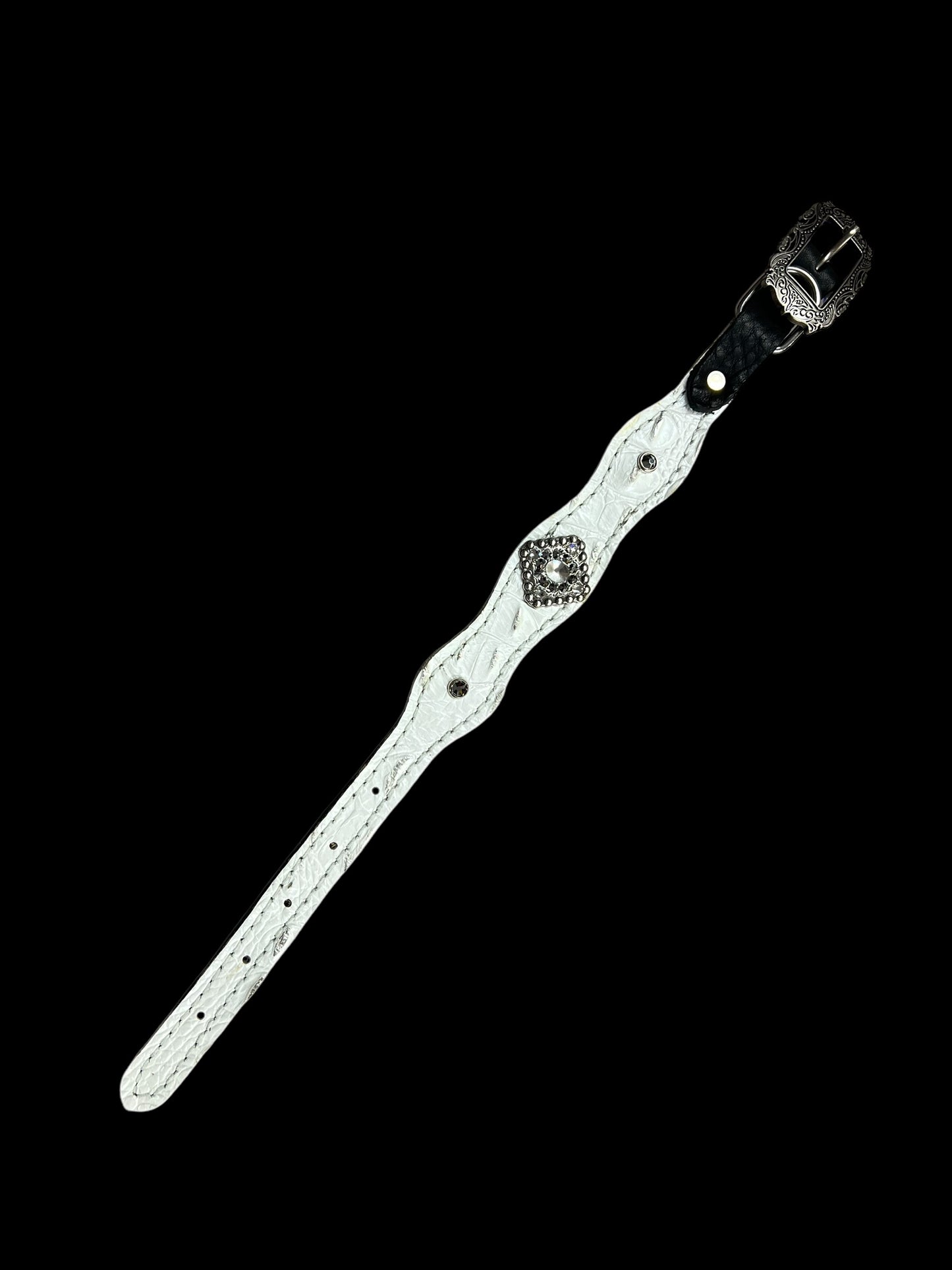 White with silver tips gator on dark leather