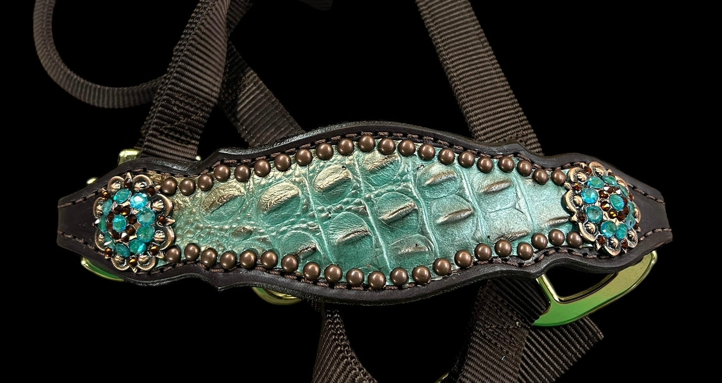 Brown and teal gator on dark leather