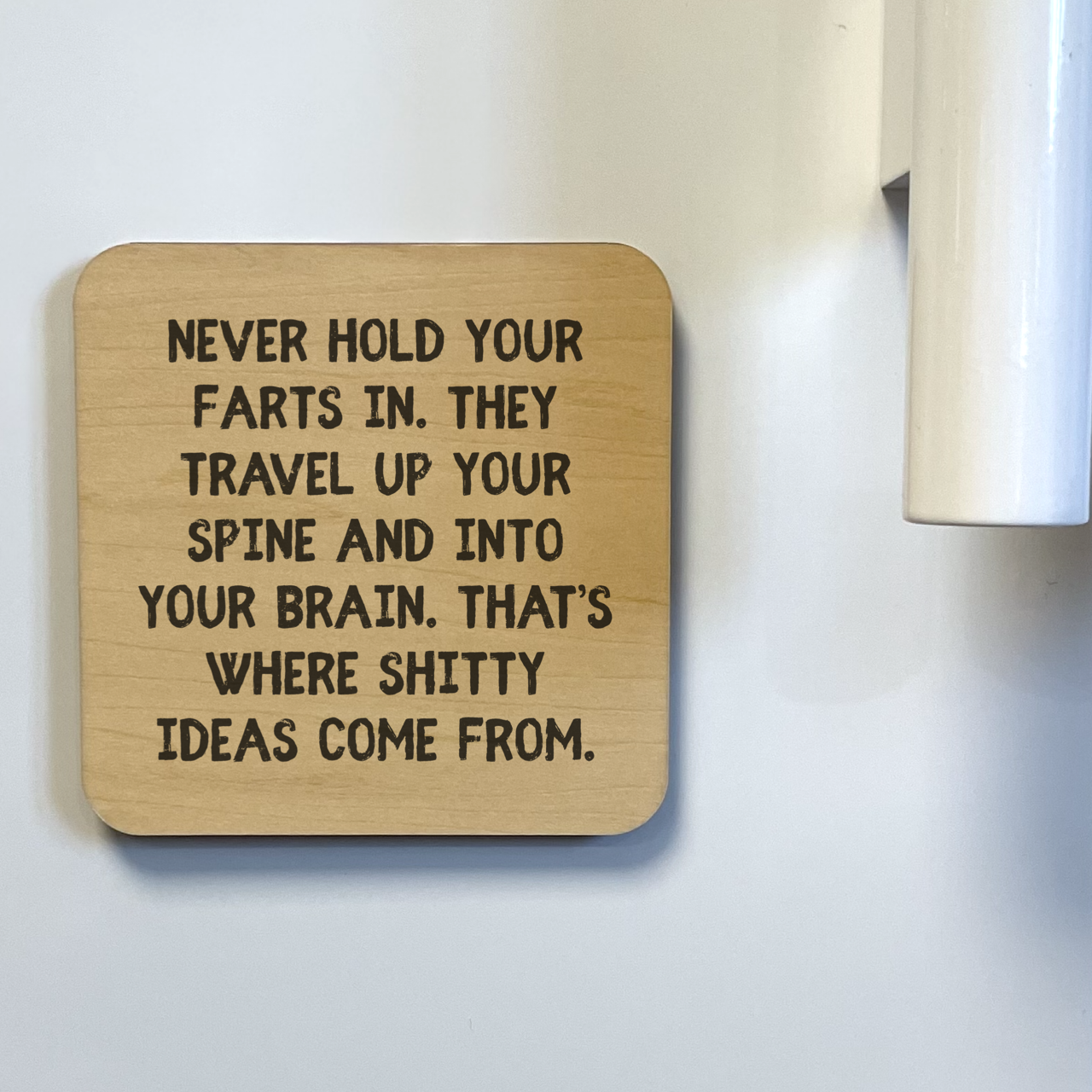 NEVER HOLD YOUR FARTS IN Magnet/Drink Coaster