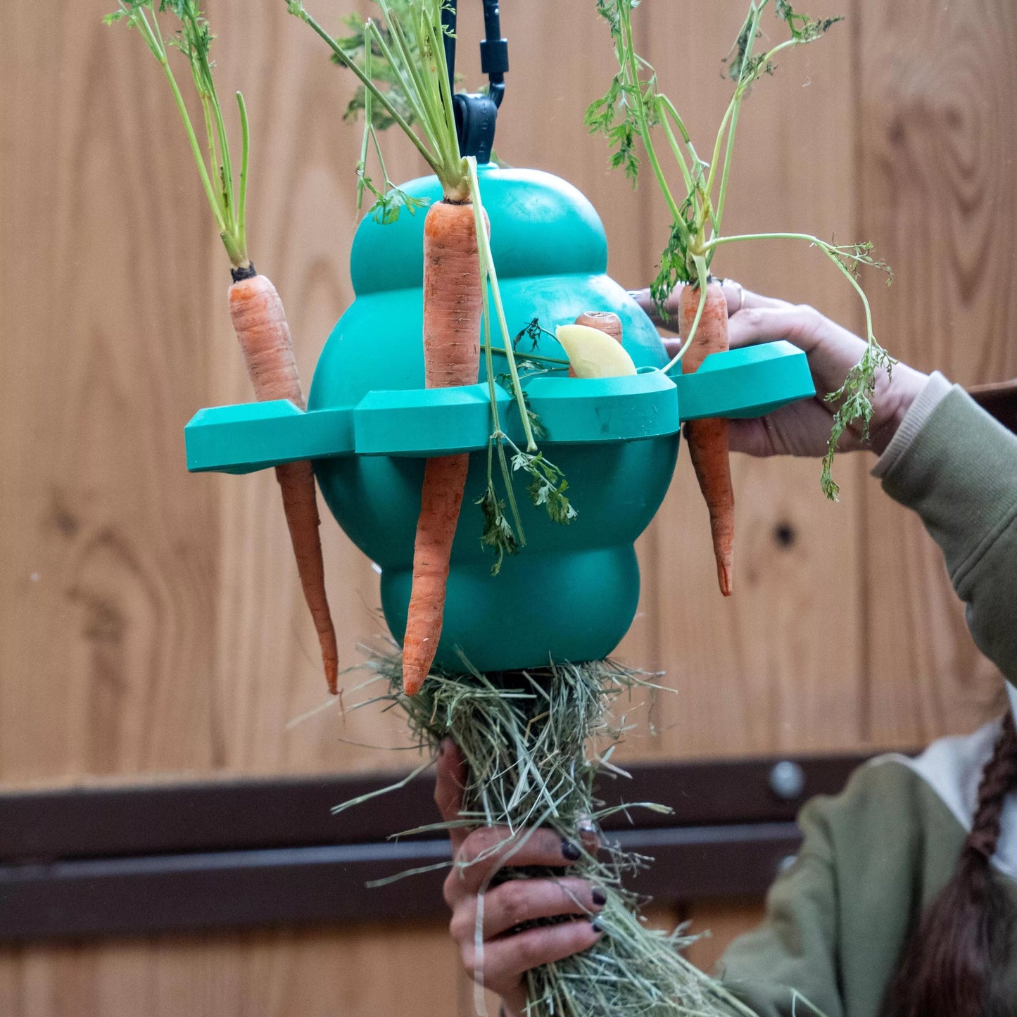 PetKORE Clover Ball for Equine
