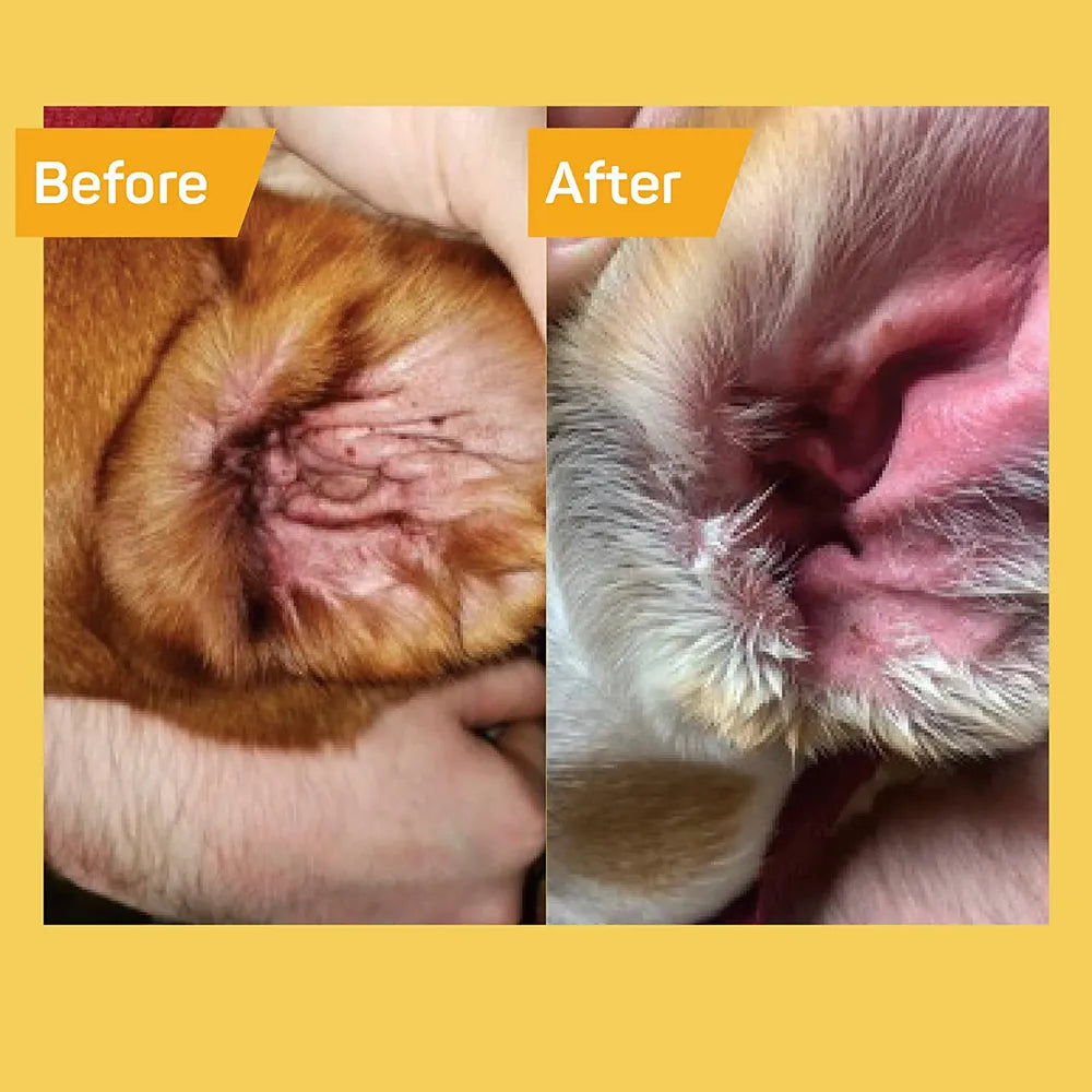 Silver Honey Rapid Ear Care Vet Strength Wipes