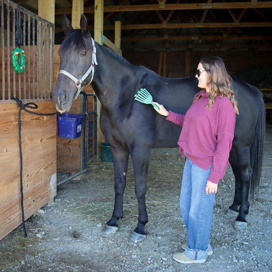 PetKORE GroomRaker for Equine