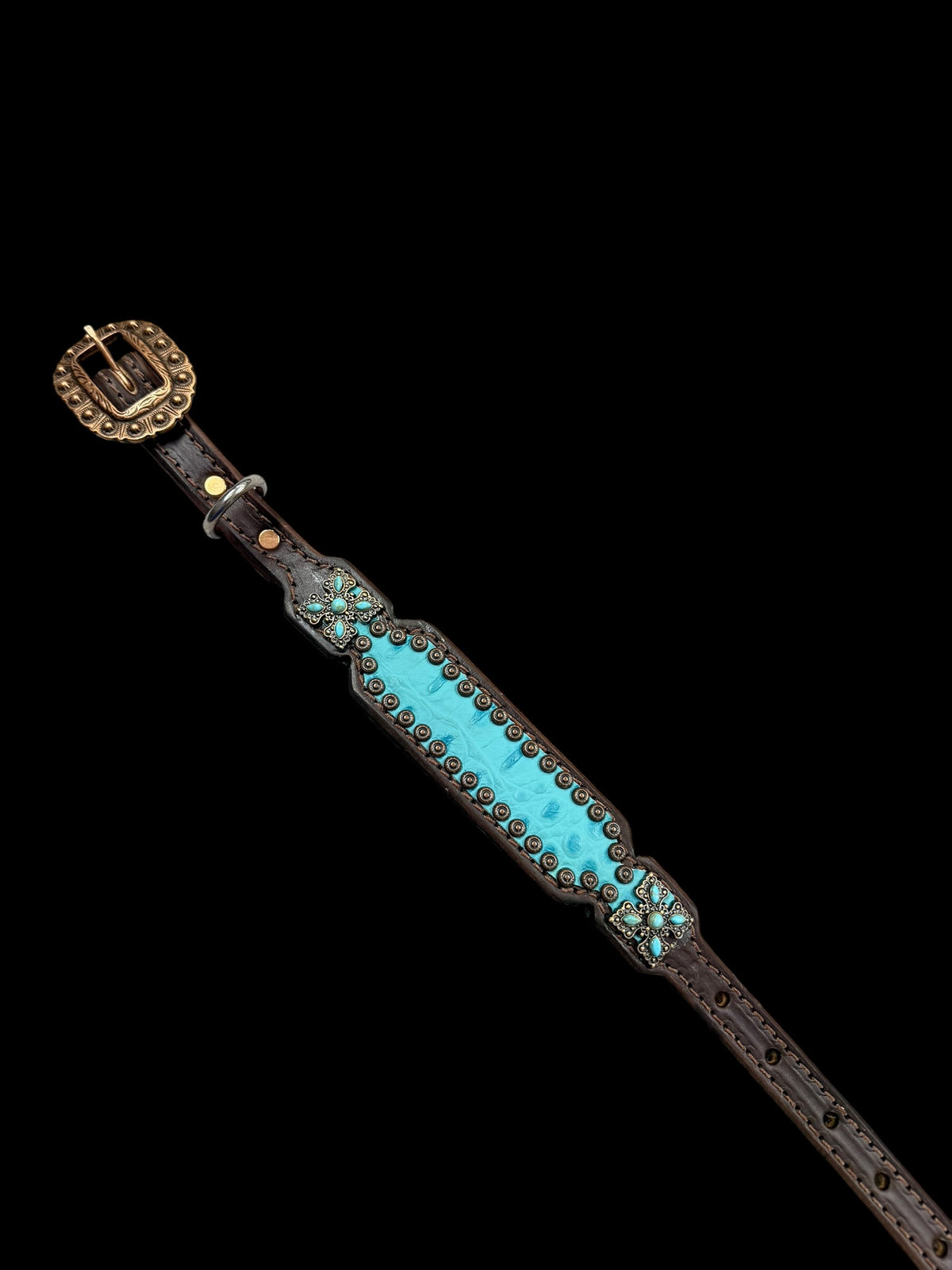 Turquoise gator on dark leather