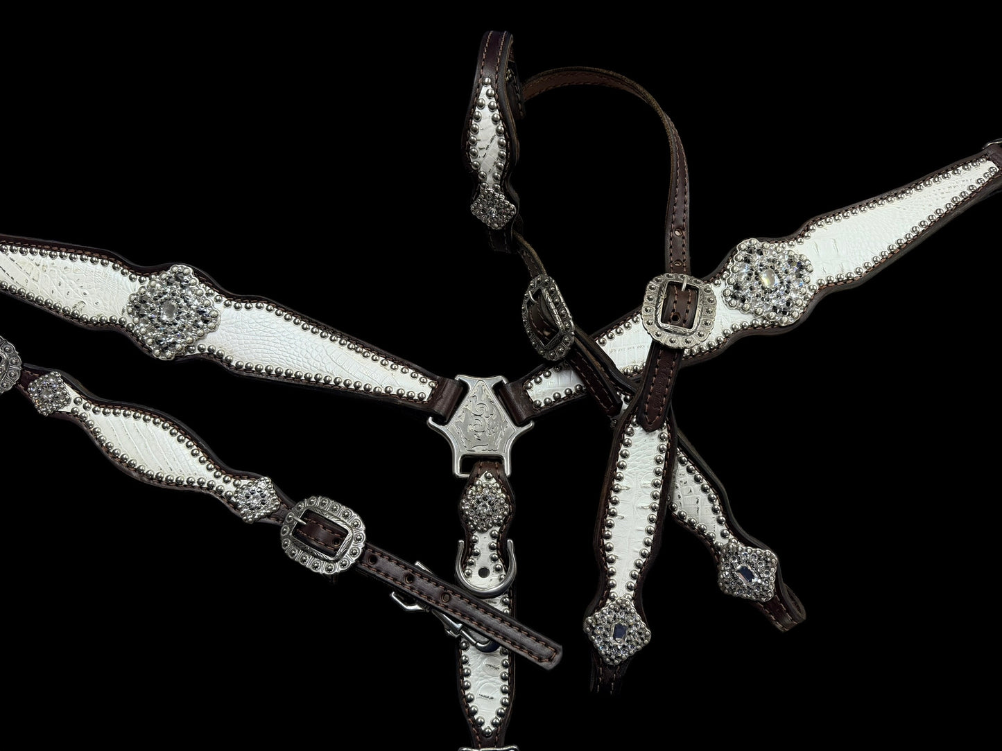 White with silver tips gator on dark leather