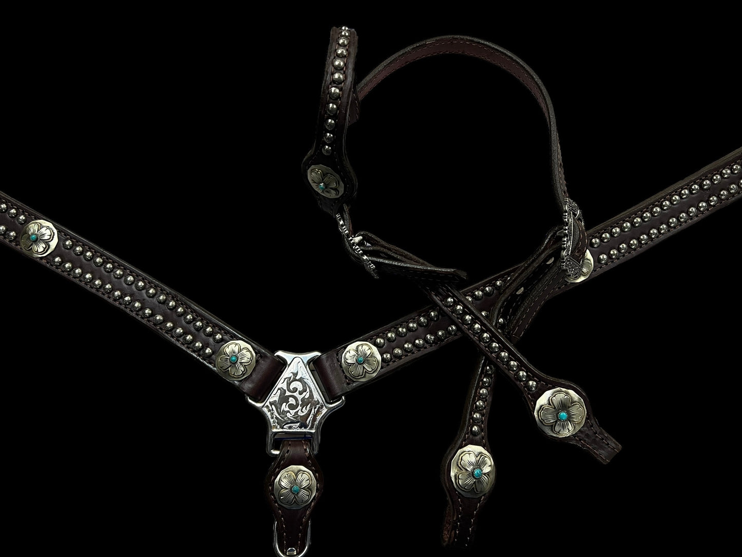 Simple tack set (spots and conchos)