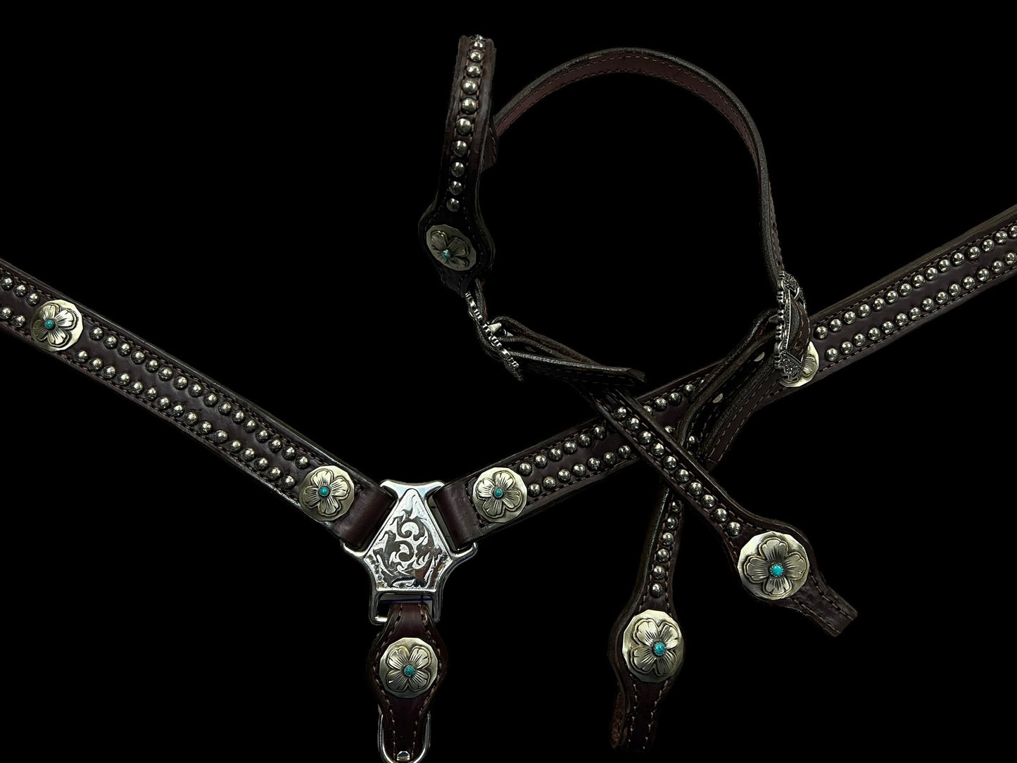 Simple tack set (spots and conchos)