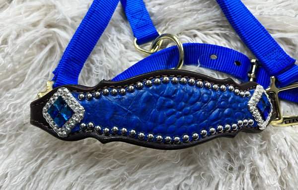 Blue gator on dark leather with blue rhinestones
