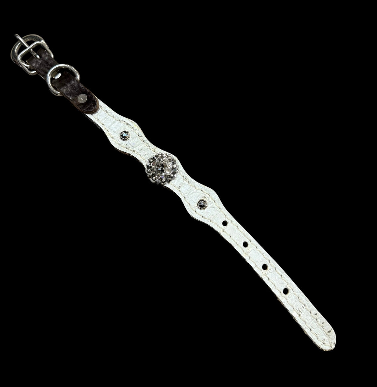 White with silver tips gator on dark leather