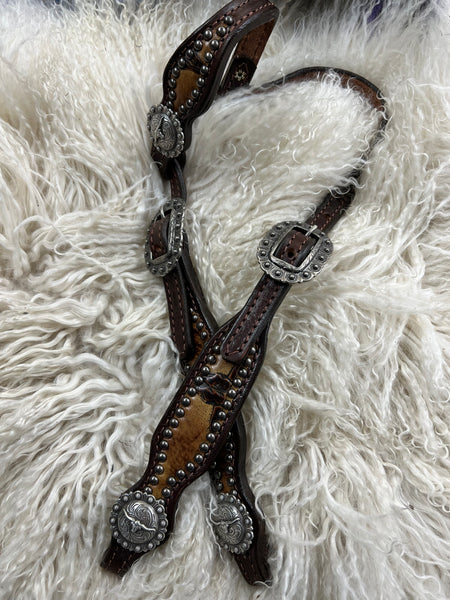 Sepia Longhorns on dark harness leather