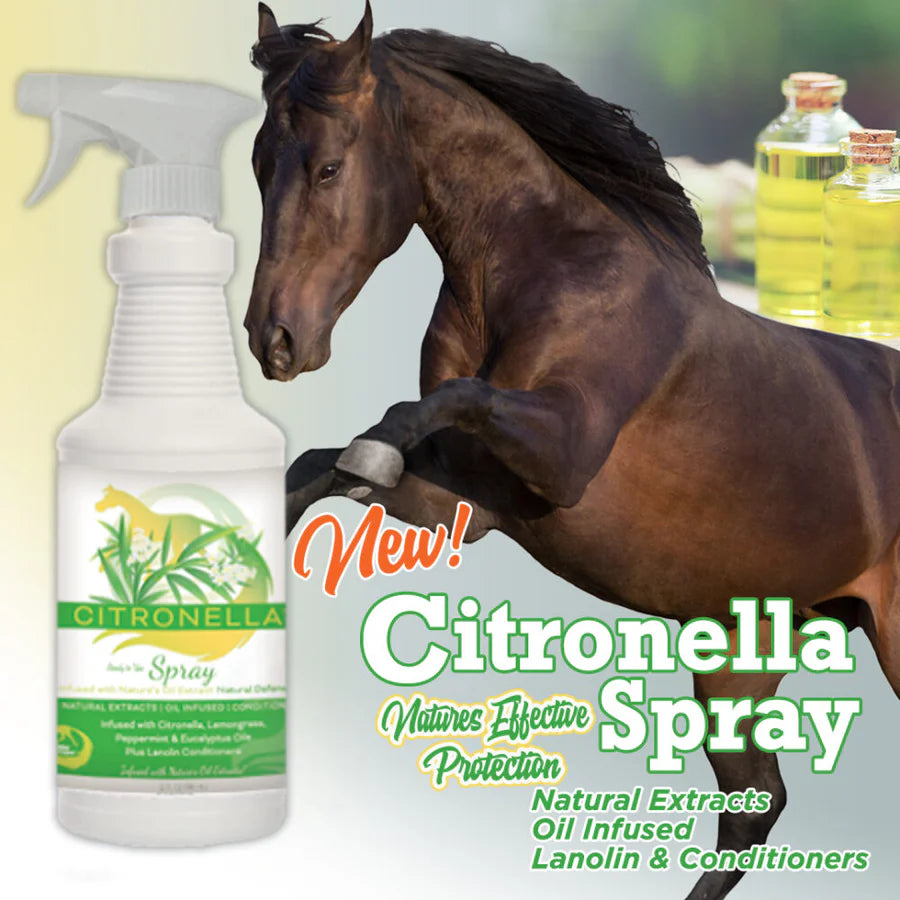 Horse Citronella Spray for Coat, Mane & Tail