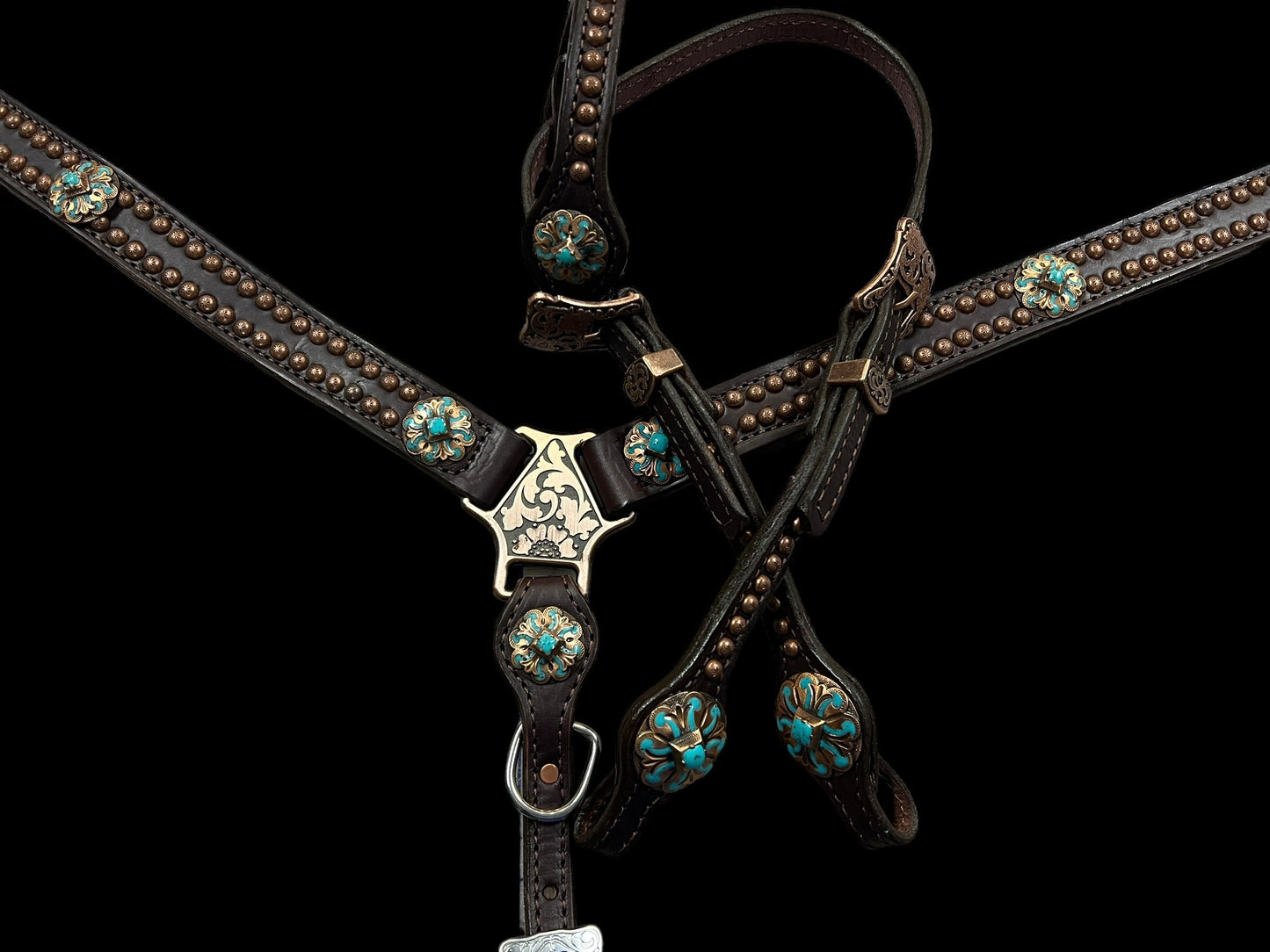 Simple tack set (spots and conchos)