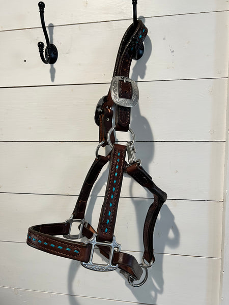 All leather halter with buckstitch