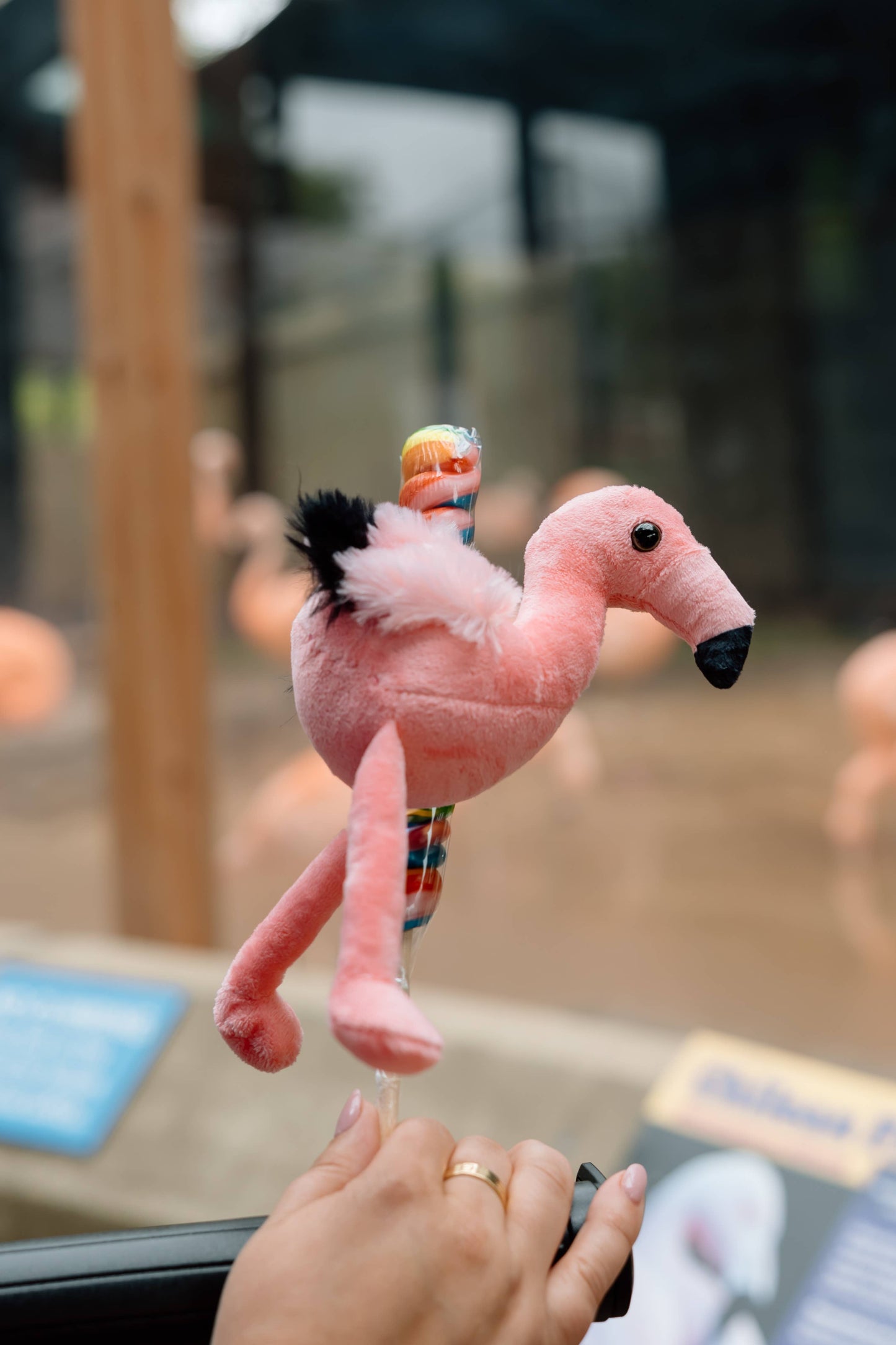 9" (22cm) Lollyplush Panda w/14" Rainbow Lollipop