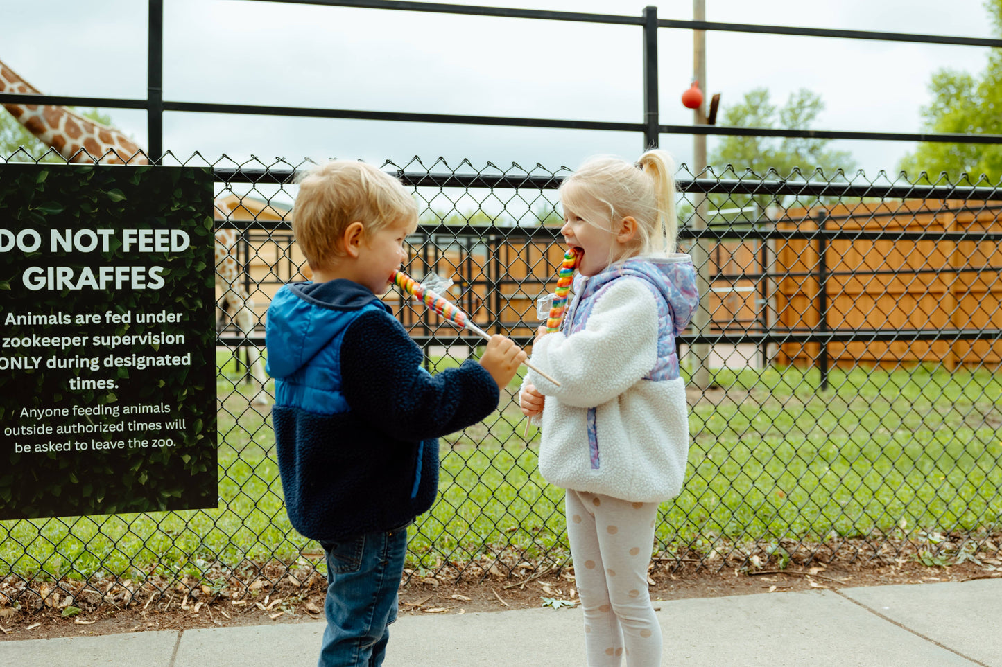 9" (22cm) Lollyplush Panda w/14" Rainbow Lollipop