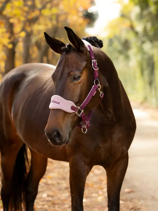 LeMieux Vogue Halter & Leadrope