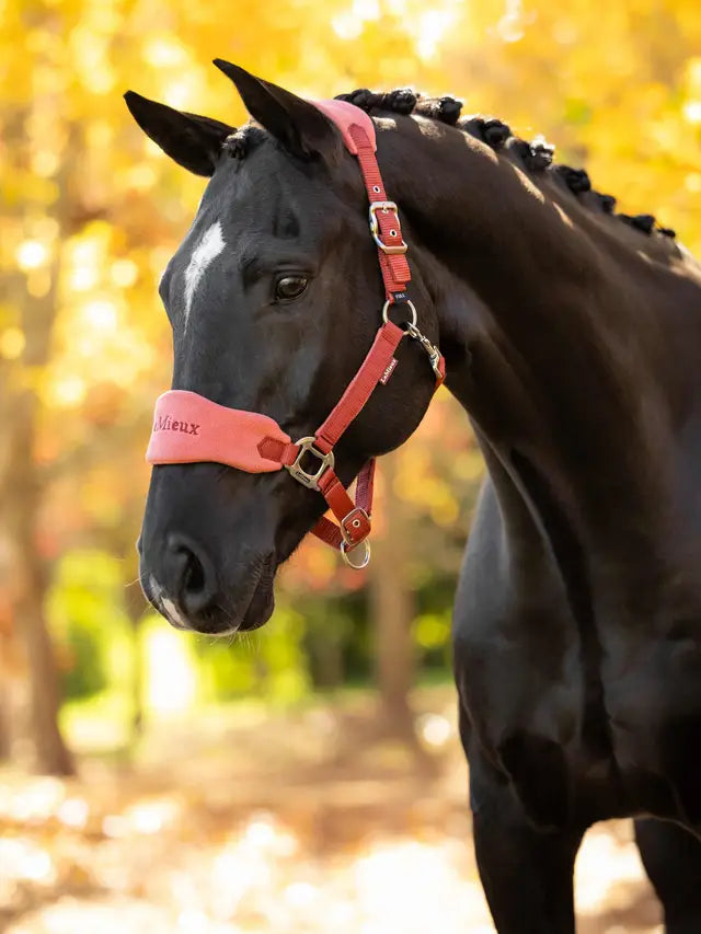 LeMieux Vogue Halter & Leadrope