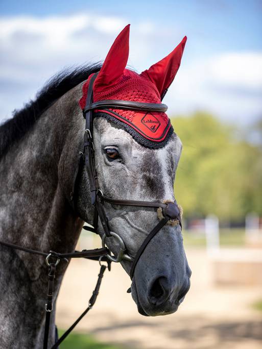 LeMieux Classic Ear Bonnet