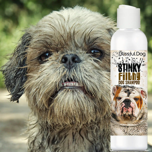 Stinky Filthy Dog Shampoo for Your Filthy Animal of a Dog 8oz.